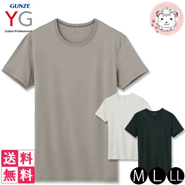 グンゼ YG メンズ air MADE 半袖 クルーネックTシャツ YV9513 M/L/LL おためし