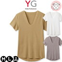 tシャツ メンズ 半袖 VネックTシャツ グンゼ YG ネクストラ カットオフ V首Tシャツ YN1515 M/L/LL おためし