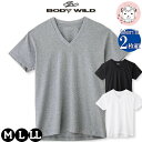 グンゼ ボディワイルド STANDARD Tシャツ 半袖 2枚組 綿100% 抗菌防臭 Vネック M/L/LL | 脇縫いなし 無地 メンズ 綿 下着 肌着 インナー BW5015A GUNZE BODYWILD(4)