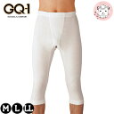 グンゼ GQ-1 ステテコ 2枚組 抗菌防臭 綿100% 前あき M/L/LL | ゆったり設計 やわらか加工 無地 メンズ 綿 半ズボン下 下着 肌着 インナ...