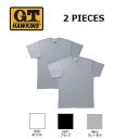 グンゼ ホーキンス Vネック 半袖 Tシャツ 2枚組 綿100% M/L/LL | 天竺 脇縫いなし 無地 メンズ 綿 下着 肌着 インナー HK10152 GUNZE G.T.HAWKINS