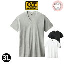 グンゼ ホーキンス Vネック Tシャツ 半袖 3枚組 綿100% 3L | 天竺 脇縫いなし 無地 メンズ 綿 丸首 下着 肌着 インナー HK15153 GUNZE G.T.HAWKINS