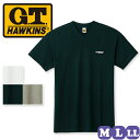 グンゼ ホーキンス Vネック Tシャツ 半袖 綿100% M/L/LL | 天竺 ワンポイント メンズ 綿 下着 肌着 インナー HK2115B GUNZE G.T.HAWKINS