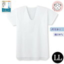 グンゼ 快適工房 半袖 U首 クレープ 消臭 綿100% LL | 春夏 無地 メンズ 綿 下着 肌着 インナー KQ6516 GUNZE