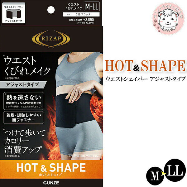 グンゼ ライザップ ウエストシェイパー アジャストタイプ 抗菌防臭 M-LL | 薄手 引き締め ソフト面ファスナー ナイロン レディース インナー RZB10...