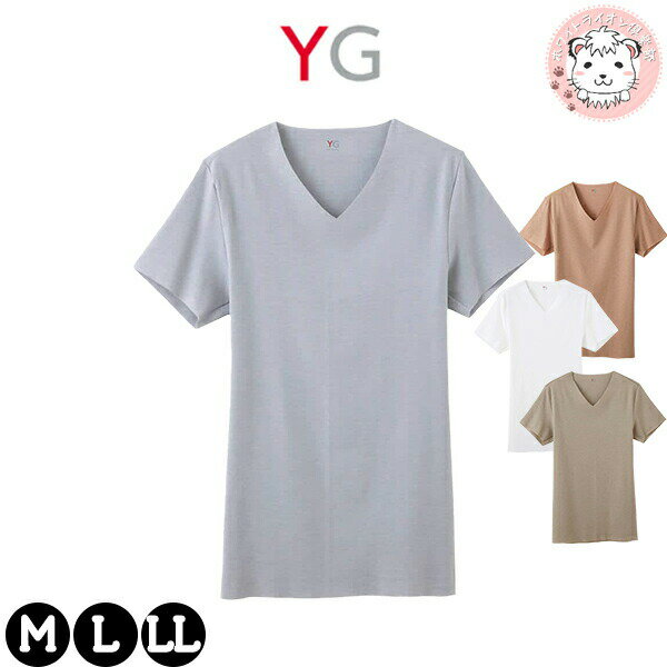 グンゼ YG Vネック Tシャツ 吸汗速乾 抗菌防臭 カットオフ M/L/LL | 綿混 脇縫いなし 春夏 無地 メンズ 綿 下着 肌着 インナー YV1915 GUNZE