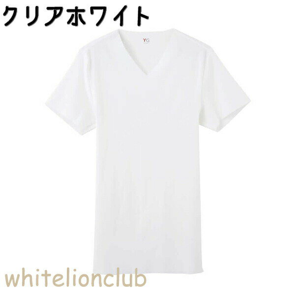 グンゼ YG Vネック Tシャツ 吸汗速乾 抗菌防臭 カットオフ M/L/LL | 綿混 脇縫いなし 春夏 無地 メンズ 綿 下着 肌着 インナー YV1915 GUNZE 2