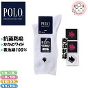 スクールソックス 2足セット グンゼ POLO ワンポイント クルー丈ソックス PL0351 16-18cm/18-20cm/20-22cm/22-24cm