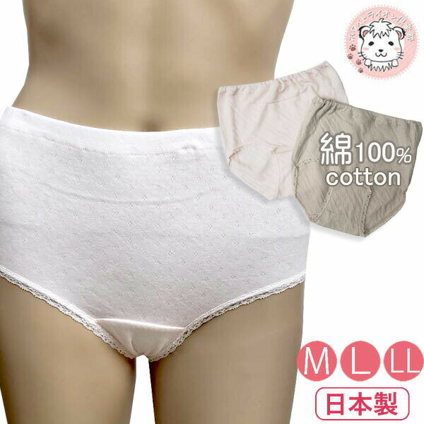 【アウトレット】花束便り シルクプロテイン加工 ソフトガーゼ 綿100% スタンダードショーツ 3711 日本製 M ベージュ | ショーツ レディース