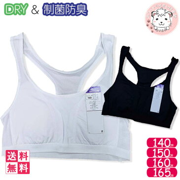 体育DEインナー ガールズ ハーフブラ スポーツブラ 3枚セット 140cm-165cm 女の子 ハーフトップ 女児 ブラ 子供 ジュニア スクール ダンス シンプル 下着 インナー 吸汗 速乾 スポーツ 無地