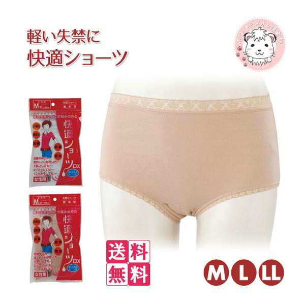 失禁パンツ 2枚セット 尿漏れパンツ 婦人 快適ショーツ 失禁ショーツ 軽失禁 パンツ 吸水ショーツ 抗菌 消臭 M/L/LL フェムケア フェムテック