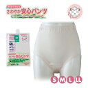 失禁パンツ 尿漏れパンツ 失禁パンツ 尿漏れパンツ 婦人 さわやか 安心パンツ 60cc対応 女性用 さわやかパンツ 失禁ショーツ パンツ 吸水ショーツ 失禁ショーツ パンツ 吸水ショーツ S/M/L/LL
