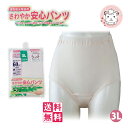 失禁パンツ 5枚セット 尿漏れパンツ 婦人 さわやか 安心パンツ 60cc対応 女性用 さわやかパンツ 失禁ショーツ パンツ 吸水ショーツ 大きいサイズ 3L フェムケア フェムテック