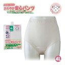 失禁パンツ 尿漏れパンツ 婦人 さわやか 安心パンツ 60cc対応 女性用 さわやかパンツ 失禁ショーツ パンツ 吸水ショーツ 大きいサイズ 4L フェムケア フェムテック