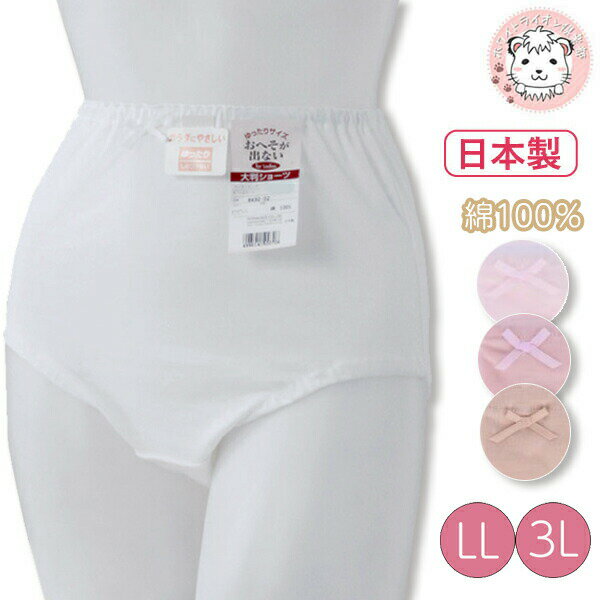 ڥȥåȡۥ硼 ǥ ࡼ ؤǤʤ Ƚ硼 Ф ѥ  LL եۥ磻 եॱ եƥå