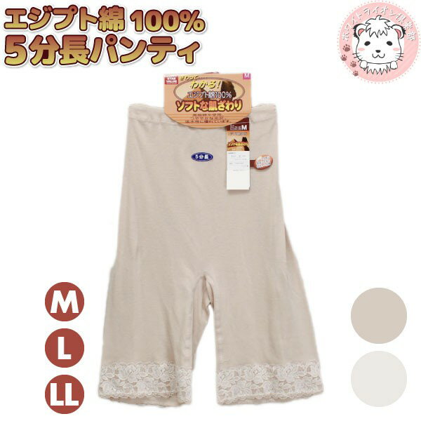 【アウトレット】さわってわかるエジプト綿 広幅レース 5分長 パンティ ロングショーツ LL | レディース 5分丈 ショーツ ハイウエスト 無地