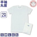 半袖 クルーネック インナーシャツ 2枚組 メンズ 抗菌防臭 半袖丸首シャツ 綿100% フライス S/M/L/LL/3L(4)