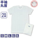 半袖 クルーネック インナーシャツ 2枚組 メンズ 抗菌防臭 半袖丸首シャツ 綿100% フライス S/M/L/LL/3L