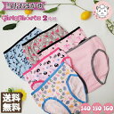 【アウトレット】キッズ 女の子用 プリント ショーツ 2枚組 140cm/150cm/160cm おためし