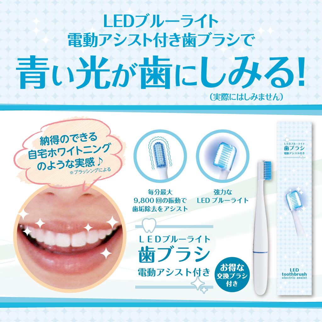 LED ブルーライト 付き 電動歯ブラシ 専用 替えブラシ ヘッド 5個 セット 【ホワイトスタートーキョー公式】［ ホワイトニング 電動ハブラシ 替え LEDライト 歯 白く 美白ケア ］ ギフト プレゼント 誕生日 メンズ レディース ユニセックス バーゲン