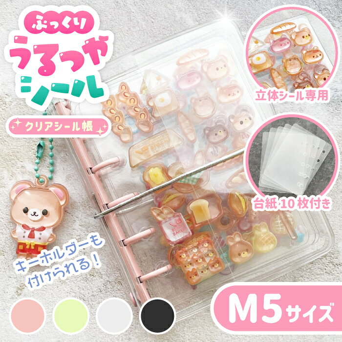 【立体シール専用 シール帳 M5サイズ 専用リフィル10枚付き】シール帳 リフィル 台紙 透明 5穴 リフィル付き 大人 子ども バインダー ファイル おしゃれ かわいい ゴム キーホルダー チャーム ぷっくりシール ボンボン 専用 ミニ 使いやすい シール台紙 人気 SNS うるつや