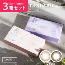 【3箱セット】［1箱6枚入］［2WEEK］カラコン 2色 リッチスタンダード アンビエンスシリーズ［度数±0.00～-10.00］（RICH STANDARD）カラーコンタクトレンズ 低含水38.0 度あり 度なし DIA14.0mm BC8.6mm 2週間［送料無料］