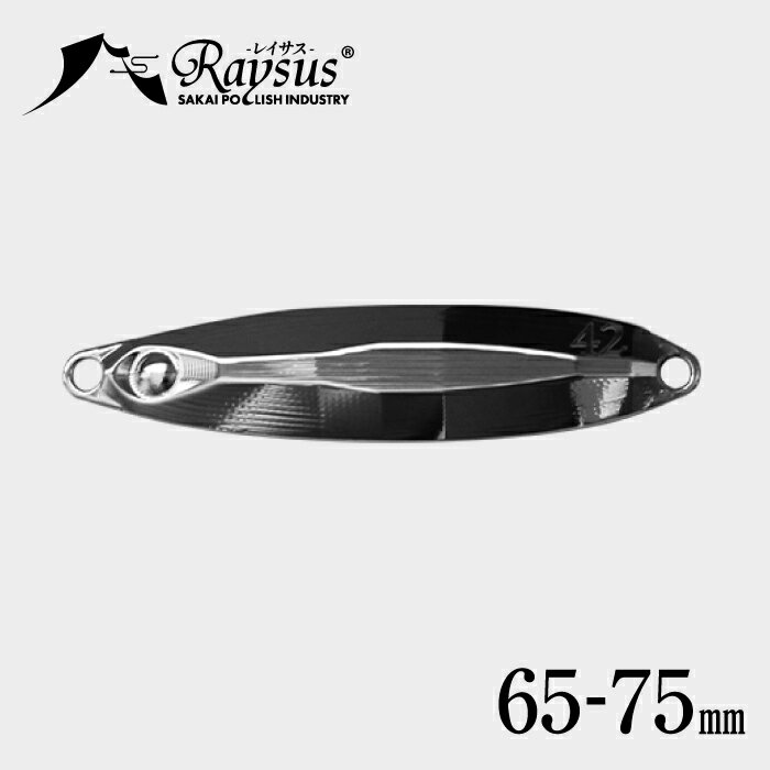 【NEW】ステンレス メタルジグ 65-75mm レイサス Raysus【日本一の金物の街、燕三条で生まれたメタルルアー】 燕三条 金属 ルアー ジグ 釣り 海釣り プロ フラッシング ショア オフショア ステンレスジグ 贈り物 日本 父の日 高級 誕生日 レビュー 特典