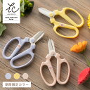 \春限定復刻カラー/期間限定 坂源 ハンドクリエーション 限定色 F-170 刃先ケース付き / 花はさみ 花鋏 花ハサミ 園芸はさみ 園芸鋏 園芸 花屋 はさ...