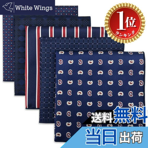 ������̵���ۡڳ�ŷ��󥭥�1�̳�����[S&W SHLAX&WING] 5�ܥ��ȥ饤�ץ�󥺥ݥ��åȥ����ե��åȥӥ��ͥ����ޥ��륯 ����Set-78����������S...