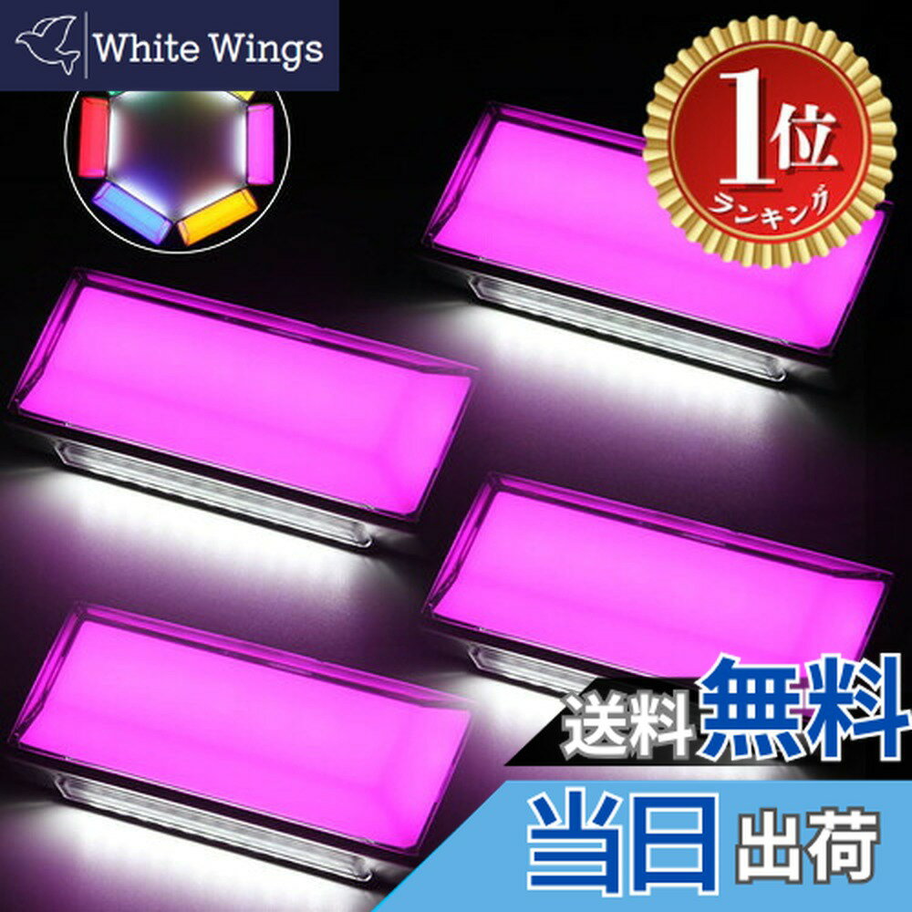 【楽天ランキング1位獲得】【送料無料】LED サイドマーカー 路肩灯機能付き OPPLIGHT 防水 IP67 DC10V-50V 12V/24Vトラック専用 ピンクパープル(マーカー) ホワイト(路肩灯) 全面発光 無極性 角型