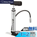 パナレーサー(Panaracer) 自転車 空気入れ 携帯ポンプ 可変式 空気圧計付 全バルブ対応 シルバー BMP-N21AGF2-S