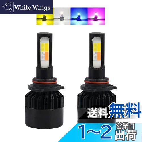 Catland  LED ե HB4 9006 ե LEDХ  ۥ磻 ֥롼 ԥ 4 ڤؤ ե...
