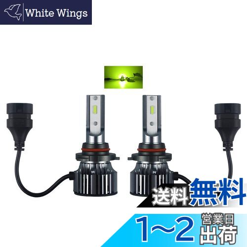 Catland LED ե HB4 󥤥 ե 9006  ŵ  LED  ե/إåɥ饤...