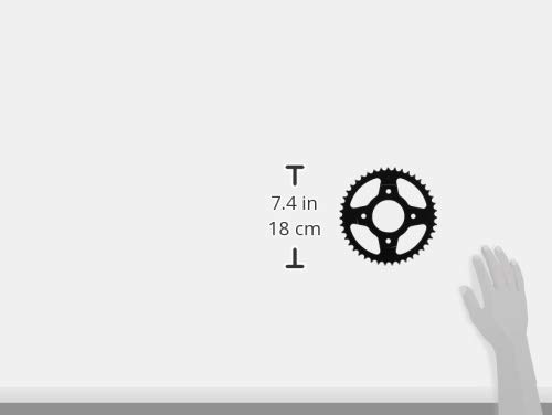 thum2