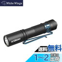 ACEBEAM Pokelit AA 懐中電灯 小型 軽量 強力 550ルーメン 高演色性 Ra90 3段階調光 500回以上充電可能です 1x単三に対応 IP...