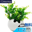 TOSSOW 植木鉢 陶器鉢 卵形 多肉植物、サボテン鉢 ハーブ プランター容器 おしゃれ プレゼント ミニ ホワイト