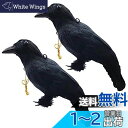【送料無料】ONESORA カラスよけ 鳥よけグッズ 本物そっくり リアル羽毛カラス 【原寸体サイズ 2羽】 ぶら下げて吊るすだけ カラス撃退