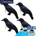 【送料無料】ONESORA カラスよけ 鳥よけグッズ 本物そっくり リアル羽毛カラス 【原寸体サイズ 4羽】 ぶら下げて吊るすだけ カラス撃退
