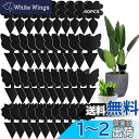 GeeRic 40枚入り 昆虫トラップ 虫取り 粘着シート 捕り粘着シート 昆虫スティッキー キャッチャー 害虫対策用品 両面強力粘着捕虫シート ハエ アブラム...