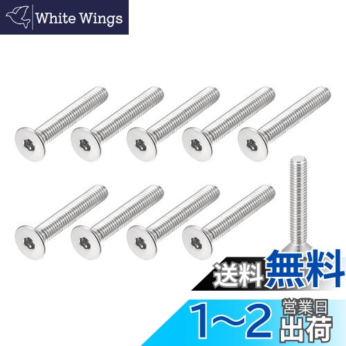 METALLIXITY եåȥإåɻͥ M5 x 30 mm 10 304ƥ쥹 åȥإåɥåץͥ  ȶ ...