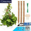 JANLOFO 支柱 園芸 3本セット 園芸支柱 60cm モンステラ フラワースタンド ヘゴ支柱 ガーデニング支柱 ココナッツ支柱 花支え 支柱 水分養分維持...