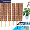 YOUSHY園芸支柱 観葉植物モンステラ支柱 ガーデニングつる性植物ココスティック支柱 観葉植物花支え 農業用園芸用(6個40cm支柱+2m麻縄)