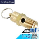 PATIKIL 1/4オスNPT 安全弁 1個 圧力開放弁 エアリリースバルブ エアコンプレッサー用 135 PSI 設定圧力