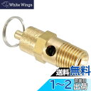 PATIKIL 1/4オスNPT 安全弁 1個 圧力開放弁 エアリリースバルブ エアコンプレッサー用 175 PSI 設定圧力