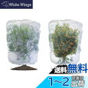 【送料無料】LIANHATA 防虫ネット 2個セット 植物保護カバー メッシュ巾着式 防鳥ネット 虫よけカバー 野菜網 鳥対策 通気性 虫鳥除け網 鉢植え用 野菜栽培 菜園プランター用 (80*100cm)