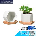 T4U 7CM 植木鉢 多肉植物鉢 サボテン鉢 陶器鉢 ミニ鉢 竹トレー付き 底穴付き 白 2個入り 母の日ギフト