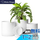T4U 植木鉢 プラスチック プランター 4点セット 受け皿付き 10/12.5/15/17.5cm 沢山の排水穴 円形 現代風 フラワーポット 室外室内 観葉植物 ハーブ 花栽培適用 白