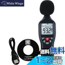 【Windowsソフト】 デジタル騒音計 (データロガー機能付き) 30-130db 騒音測定器 サウンドメーター 高精度 日本語取扱説明書 (騒音計 データロガー機能付き)
