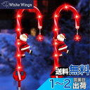 QuiExact ソーラー ガーデンライト 2点セット 置物ライト サンタ 雪だるま クリスマス 防水 自動点灯 消灯 屋外 クリスマス飾り 装飾品 庭 パス 歩道 芝生 デコレーション おしゃれ 雰囲気作り イルミネーション (サンタクロース)