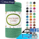 LEREATI マクラメロープ 2mm x 200m マクラメ糸 綿ロープ yarn コットンロープ 綿糸 ひもめんマクラメ 紐 DIY 手編みロープ, 壁掛け, 鉢植え装飾, 編み物, 工芸品 (グリーン)